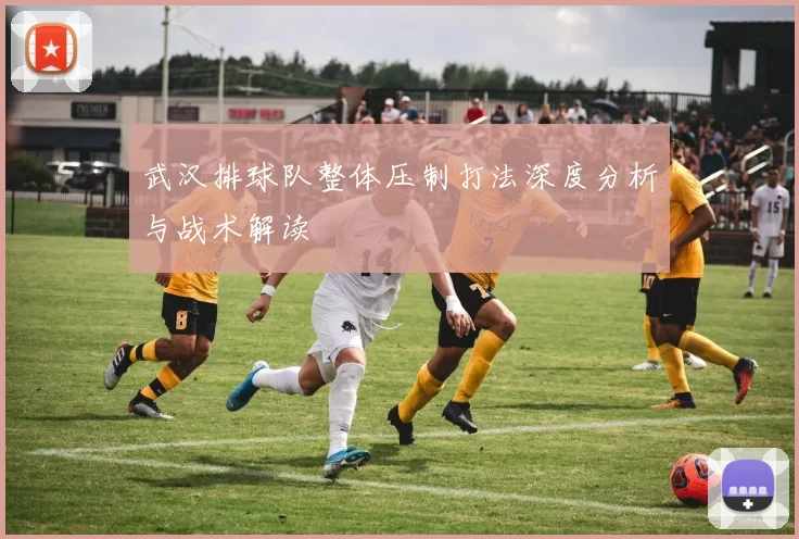 武汉排球队整体压制打法深度分析与战术解读