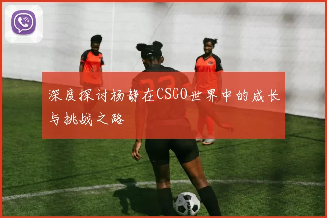 深度探讨杨静在CSGO世界中的成长与挑战之路