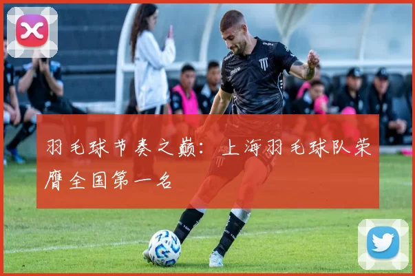 羽毛球节奏之巅：上海羽毛球队荣膺全国第一名