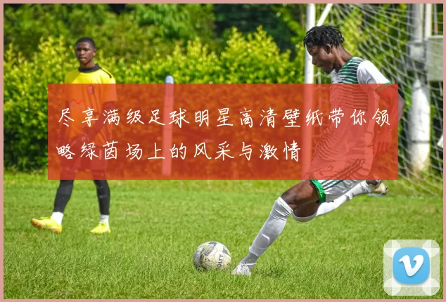 尽享满级足球明星高清壁纸带你领略绿茵场上的风采与激情