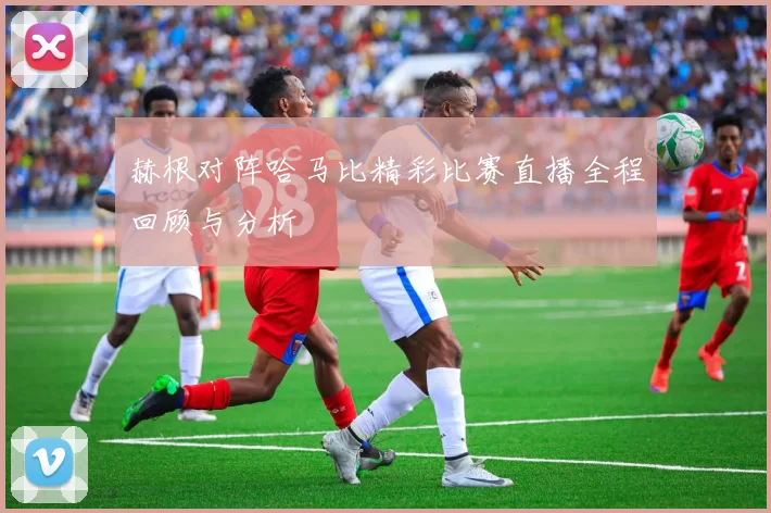 赫根对阵哈马比精彩比赛直播全程回顾与分析