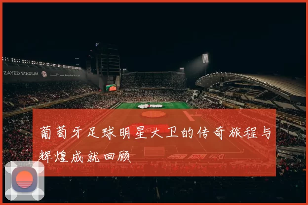 葡萄牙足球明星大卫的传奇旅程与辉煌成就回顾