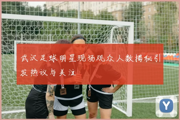 武汉足球明星现场观众人数揭秘引发热议与关注