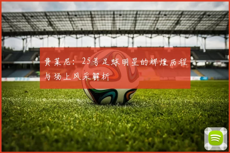 费莱尼：25号足球明星的辉煌历程与场上风采解析