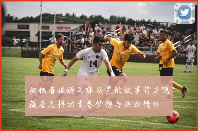 被拽着追逐足球明星的故事背后隐藏着怎样的青春梦想与热血情怀