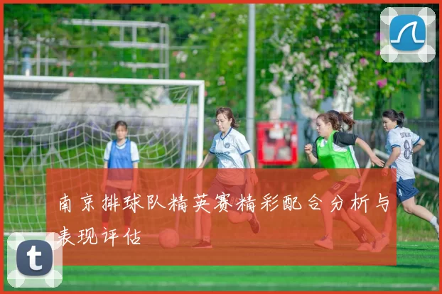 南京排球队精英赛精彩配合分析与表现评估