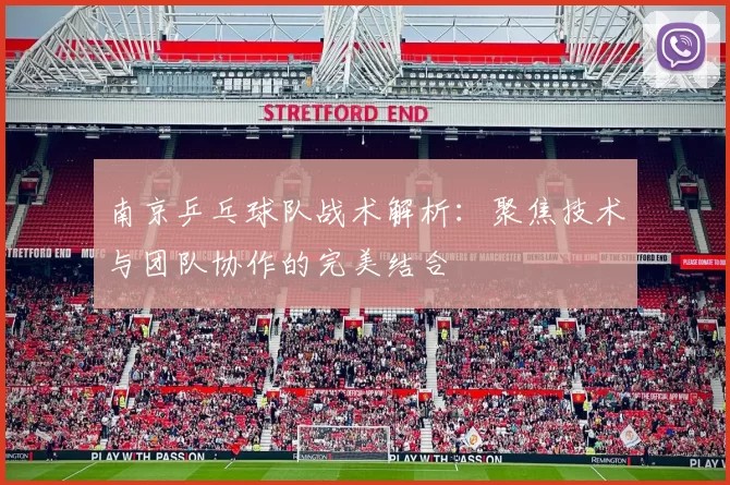 南京乒乓球队战术解析：聚焦技术与团队协作的完美结合