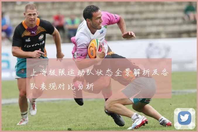 上海极限运动队状态全景解析及各队表现对比分析